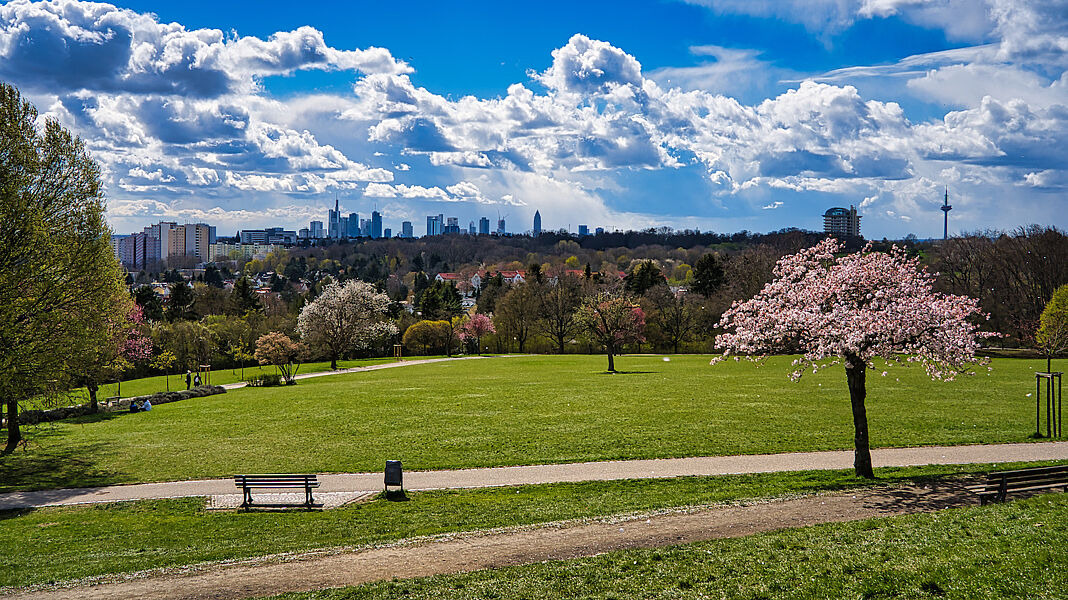 Park mit Bäumen vor einer Skyline